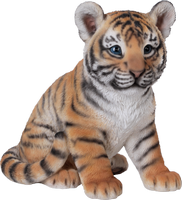 a cute tiger
